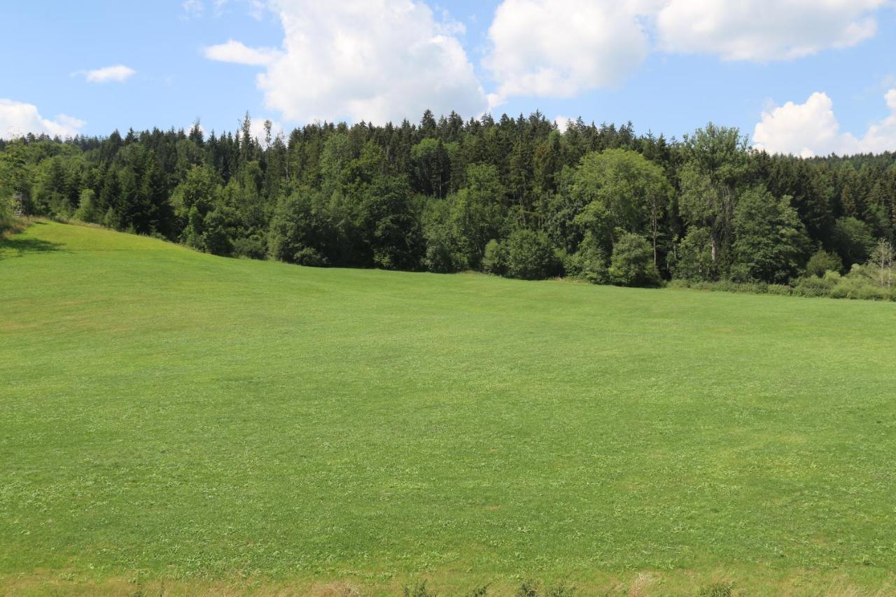 Baumkrone Im Happy Allgaeu - 2-Stoeckige Wohnung Mit Wohnnetz Leutkirch im Allgäu Eksteriør bilde